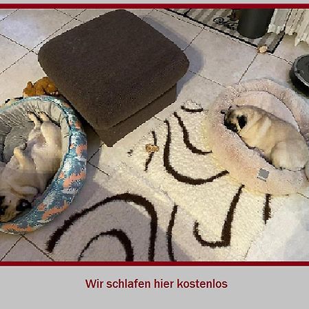 Stadt-Gut-Hotel Rheinischer Hof Essen Eksteriør bilde